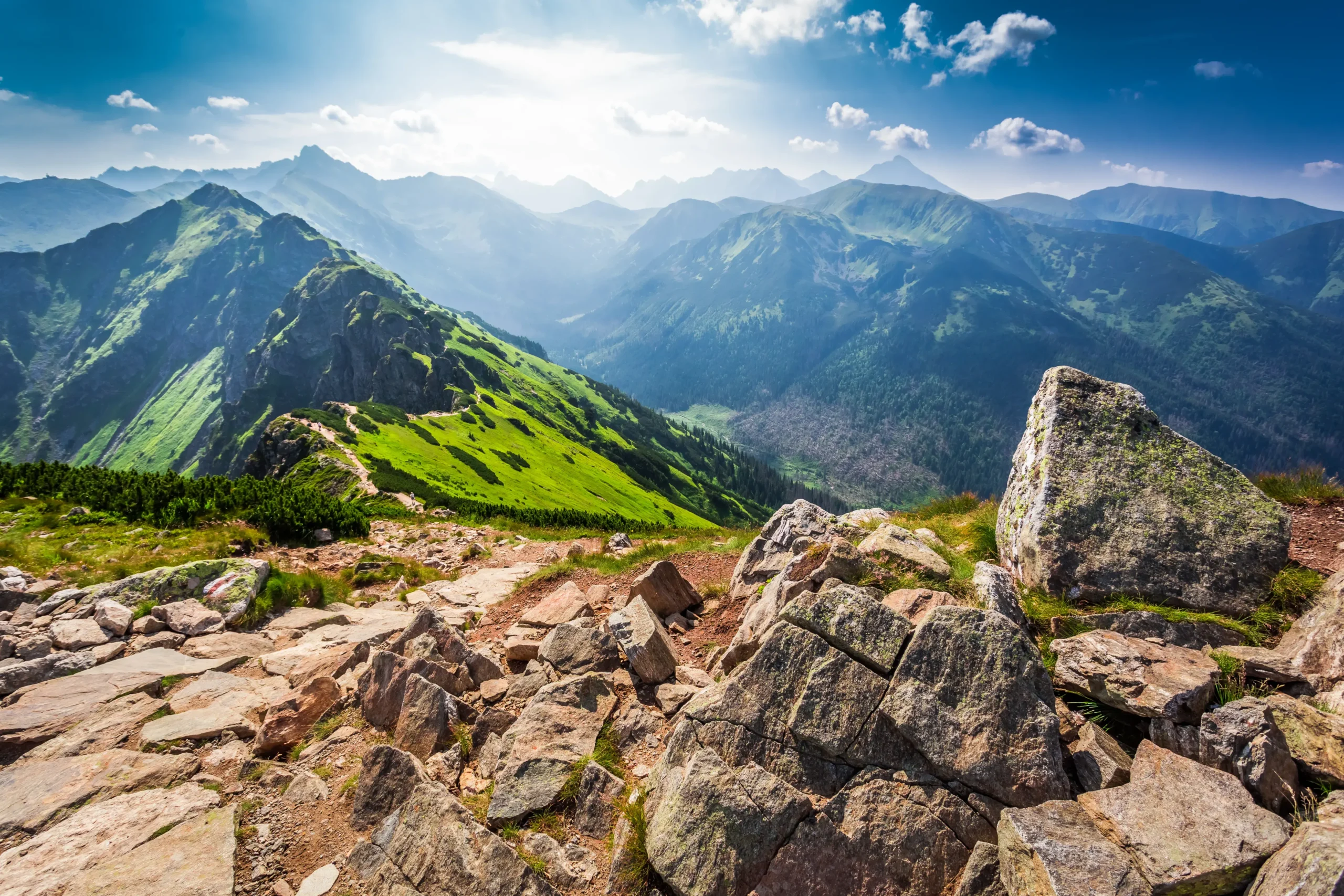 Montagne été